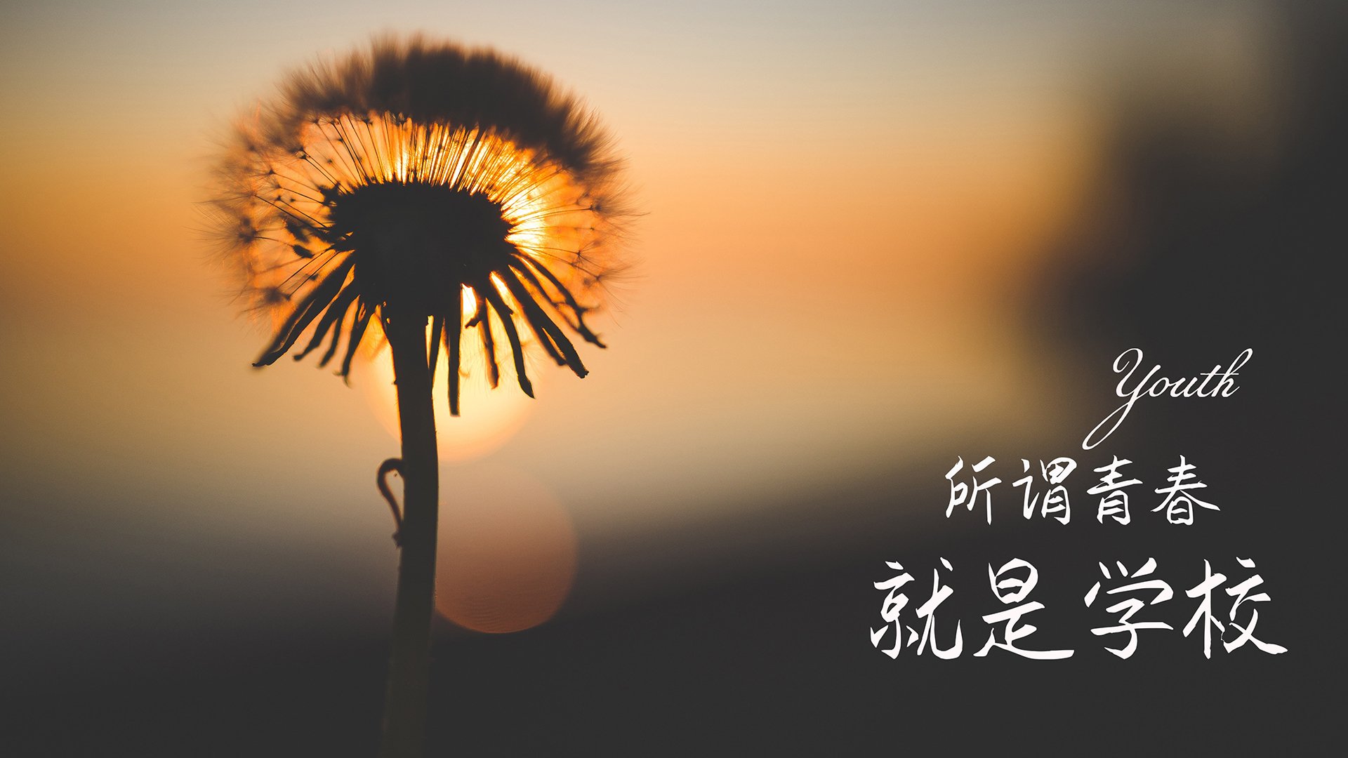 2024年澜沧江—湄公河合作大理马拉松成功举办，吸引15700名跑者参与，2020澜沧江-湄公河合作媒体云峰会