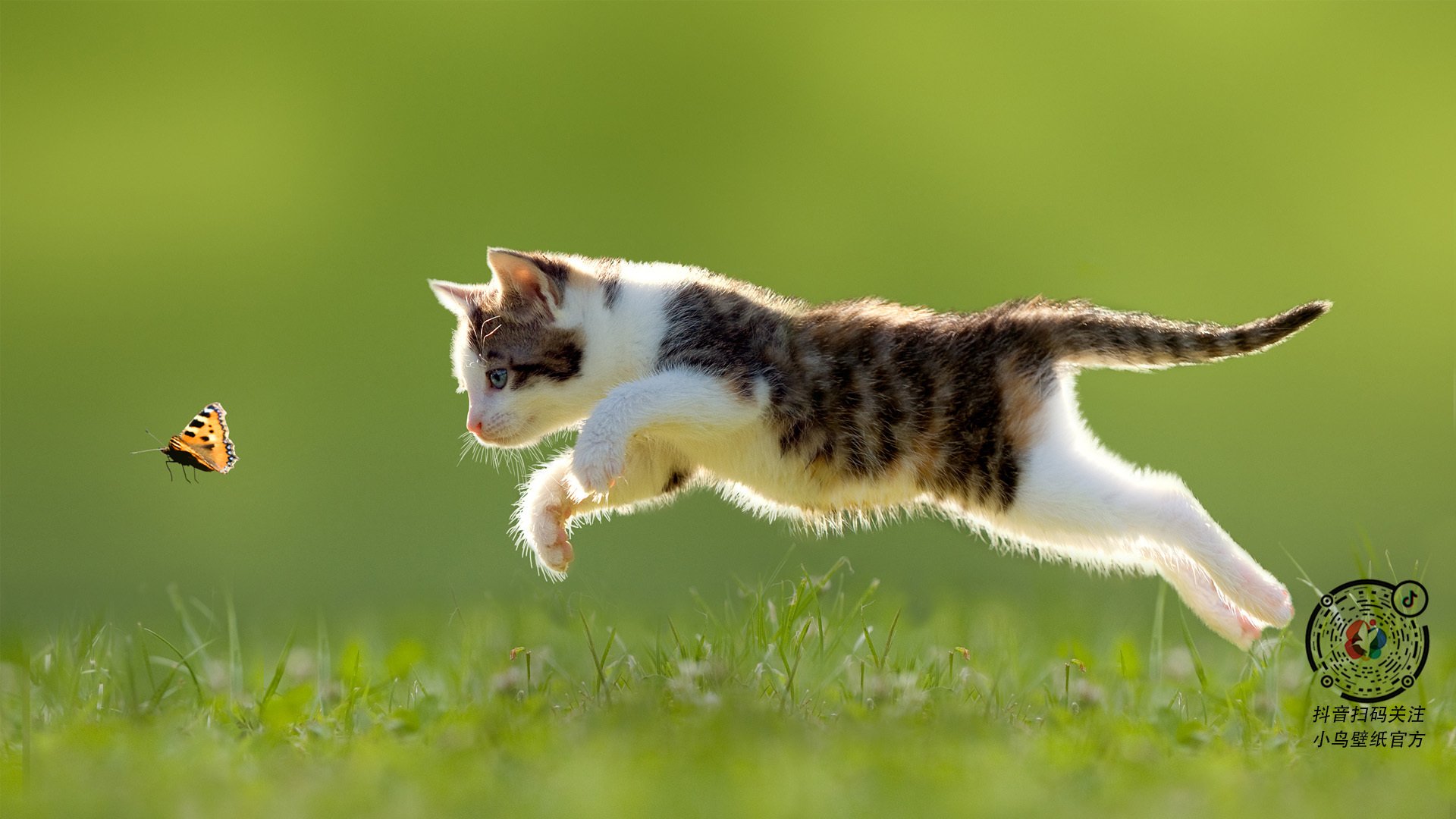 夜跑灯光秀，照亮城市的运动夜晚，夜跑灯实用吗