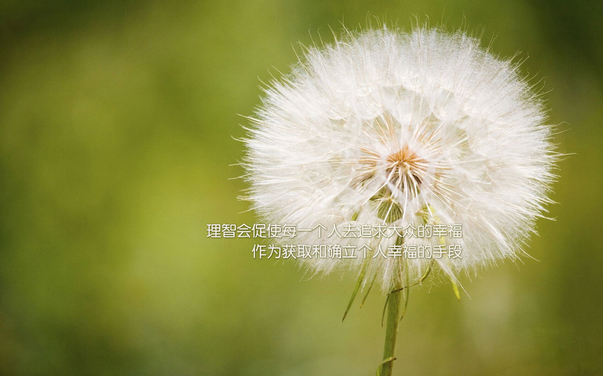 太阳能赛车:能源革新的未来方向,太阳能赛车电路原理图